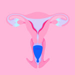 THE HELLO CUP™ - HIGH CERVIX CUP