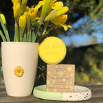 Shampoo Bar - Apollo