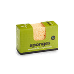 Compostable Sponge