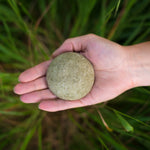 Shampoo Bar for Oily Hair - Nettle & Lavender