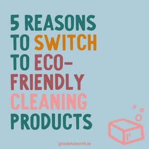 5 Reasons to Switch to Eco-Friendly Cleaning Products