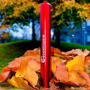 Collapsible Straw