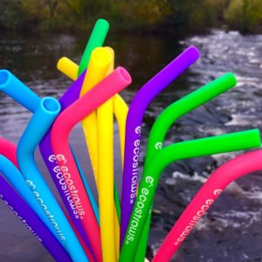 Silicone Straws - Ode to Earth